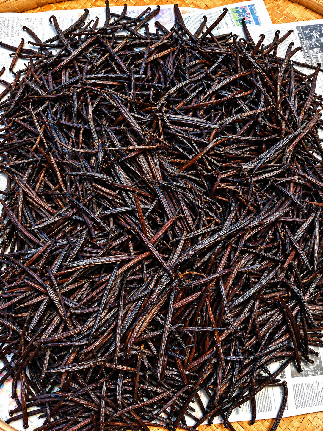 Vanilla