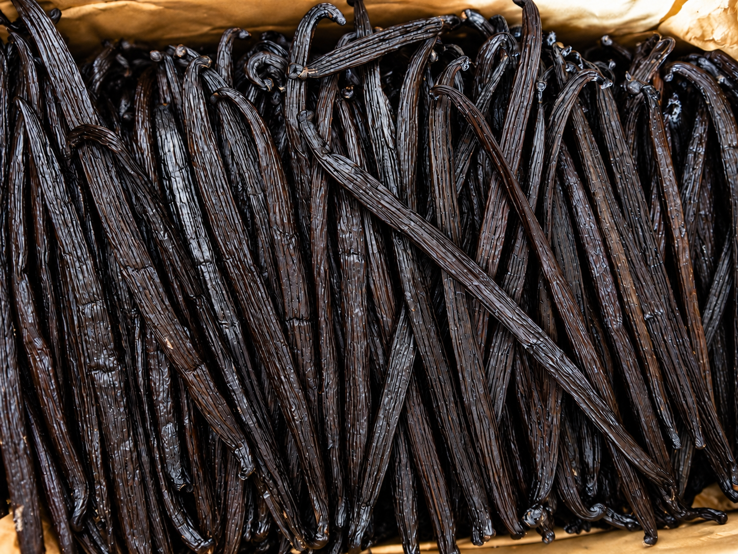 Planifolia Vanilla Beans