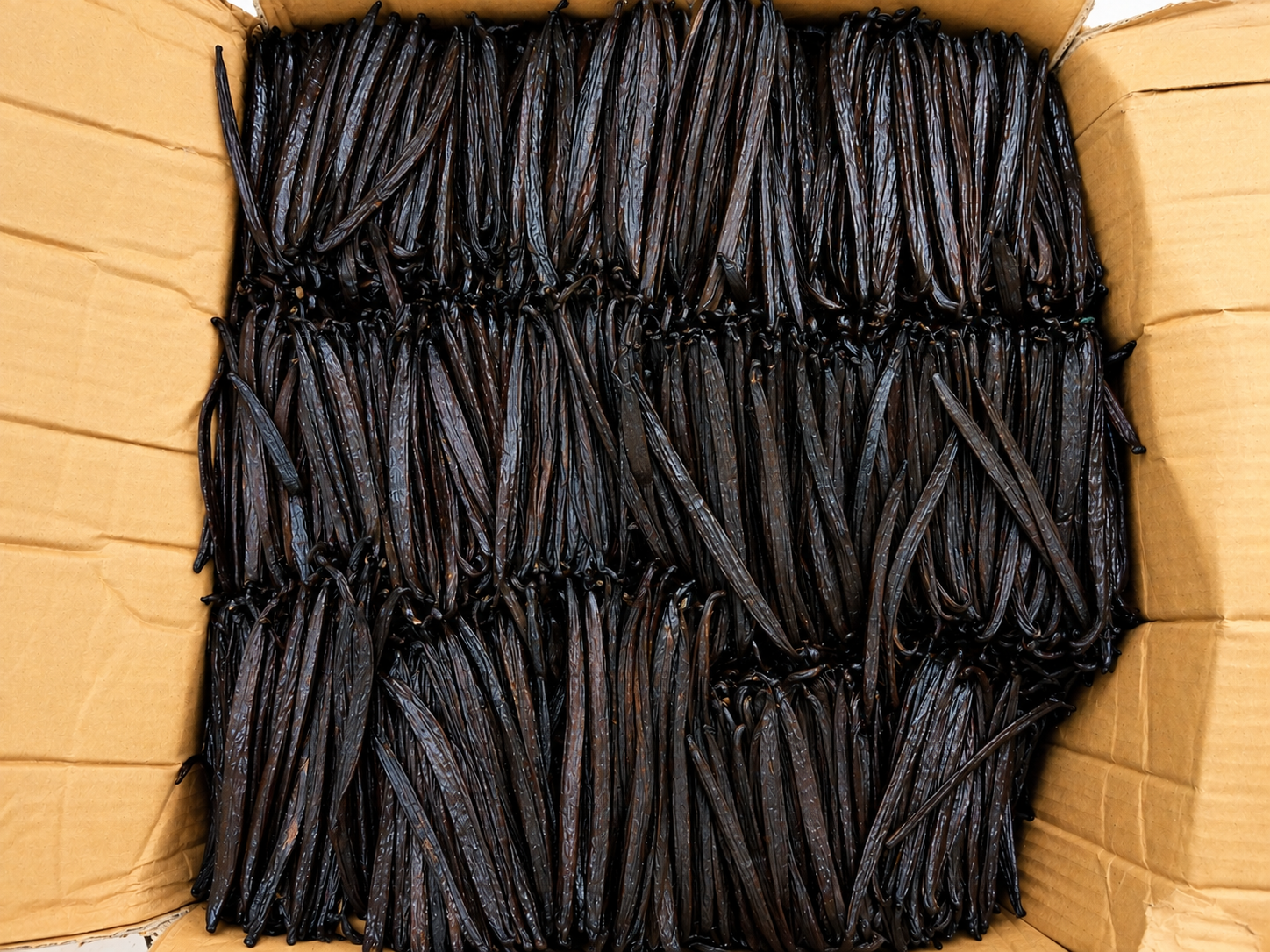 Tahitensis Vanilla Beans