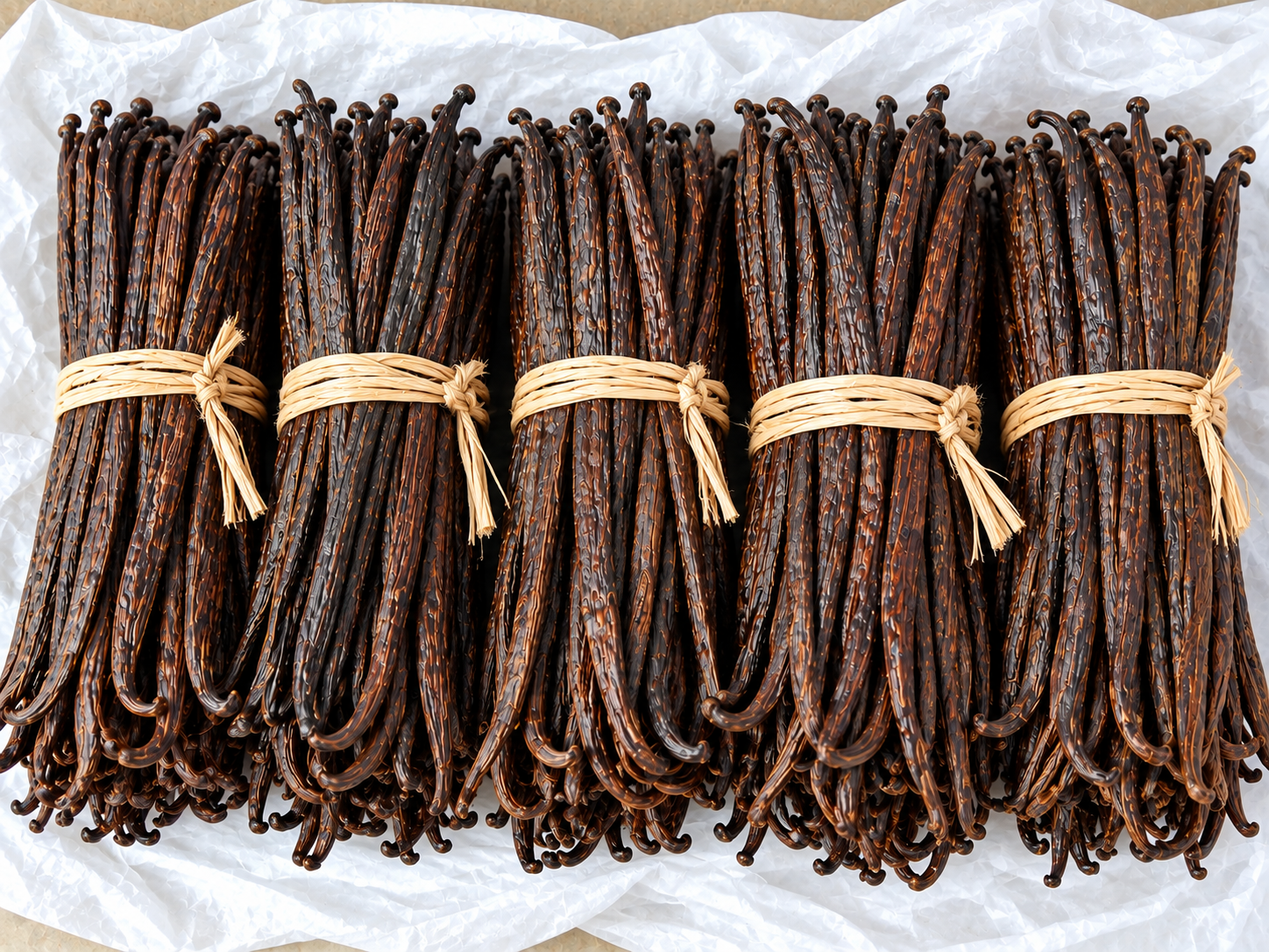 Vanilla pods and tropical plants
